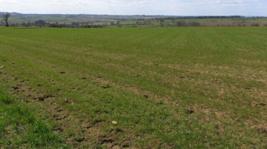 Fields This corner of the square is mostly field! In the distance the John O'Gaunt disused railway viaduct is visible (see enlarged view 151793)