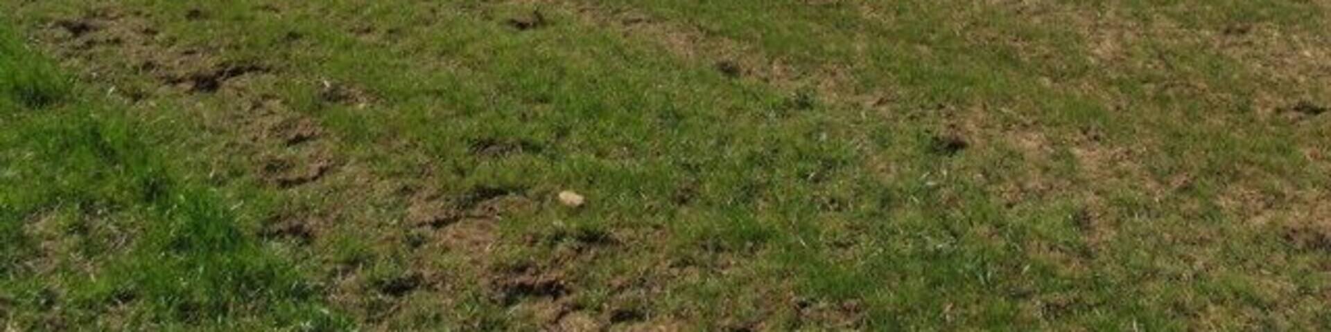 Fields This corner of the square is mostly field! In the distance the John O'Gaunt disused railway viaduct is visible (see enlarged view 151793)