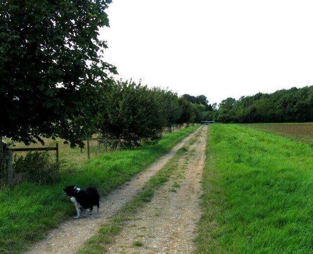 Farm track towards Pickwell