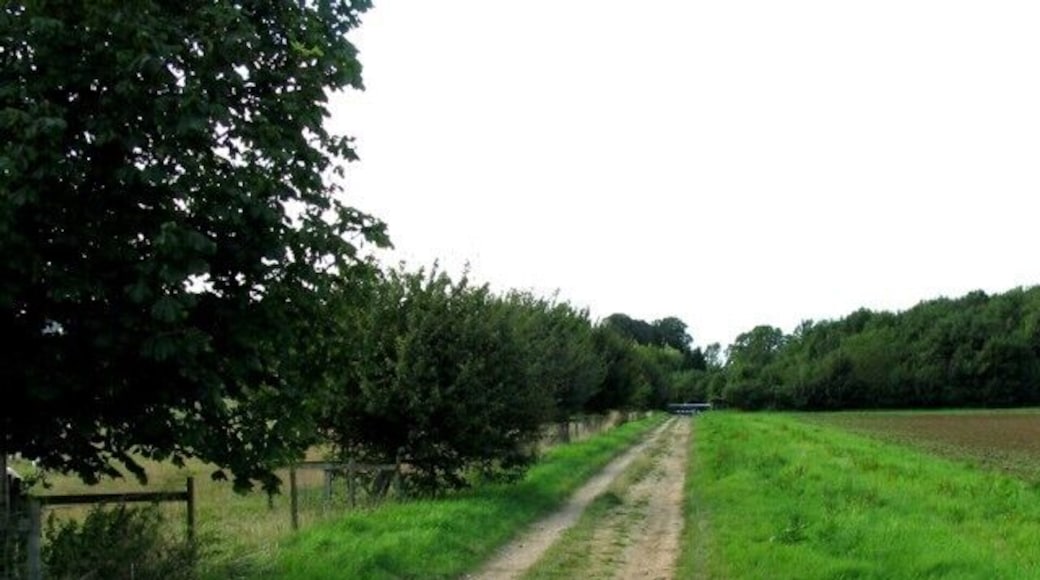 Farm track towards Pickwell