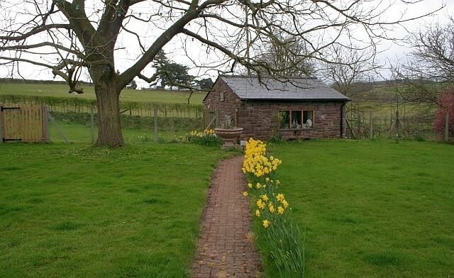 A stone house with a brick path leading to it, surrounded by a grassy field and a large tree.