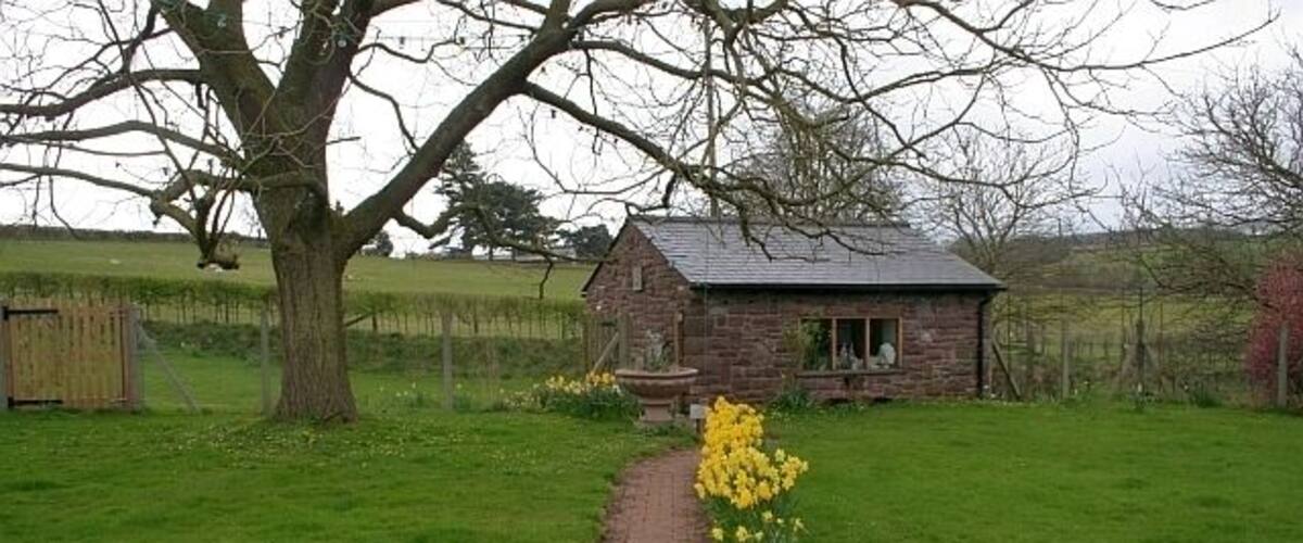 A stone house with a brick path leading to it, surrounded by a grassy field and a large tree.