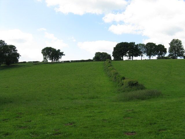 Toward Burley Farm Grazing land rising up from the old railway.