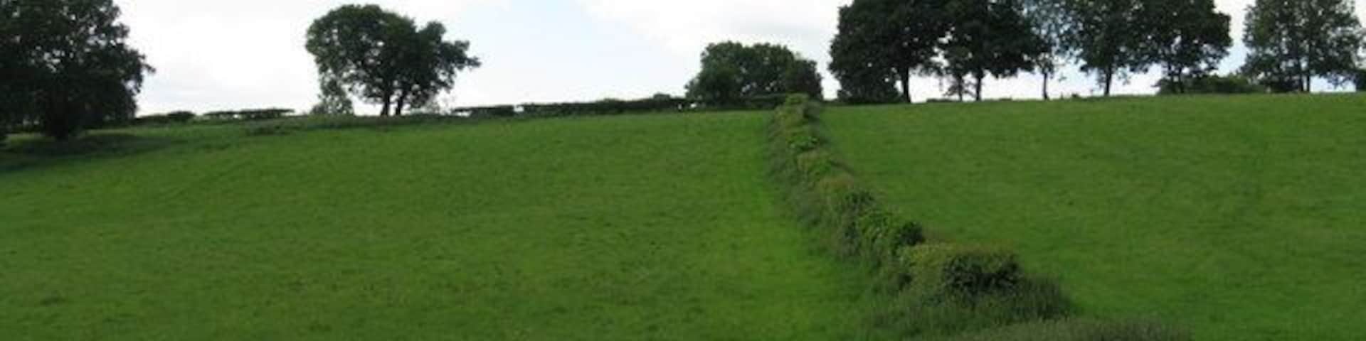 Toward Burley Farm Grazing land rising up from the old railway.