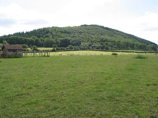 A grassy field with a small wooden structure and a hill in the background.