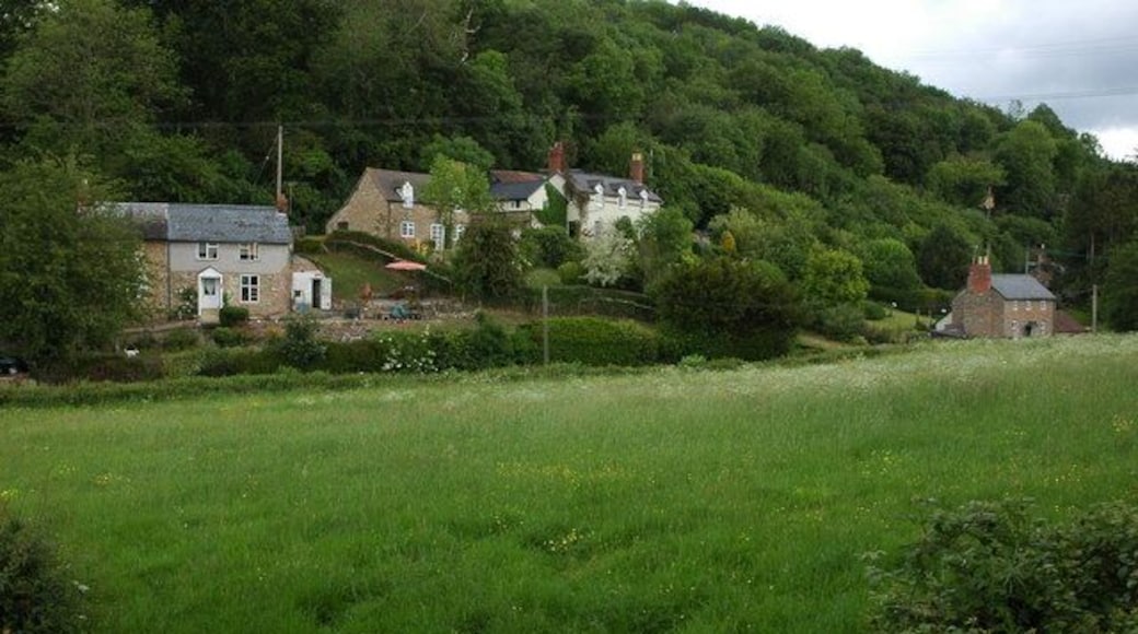 Cottages in Mordiford