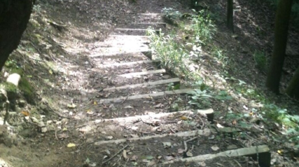 Nice of them to put steps in ;)