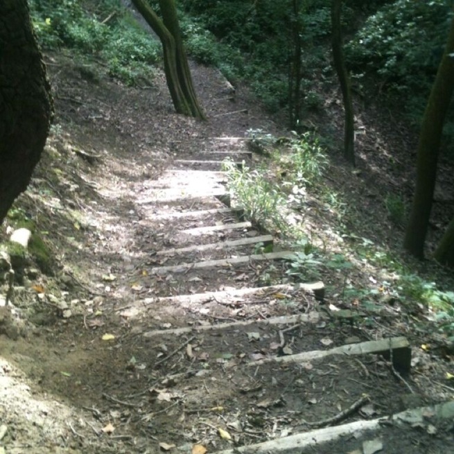 Nice of them to put steps in ;)
