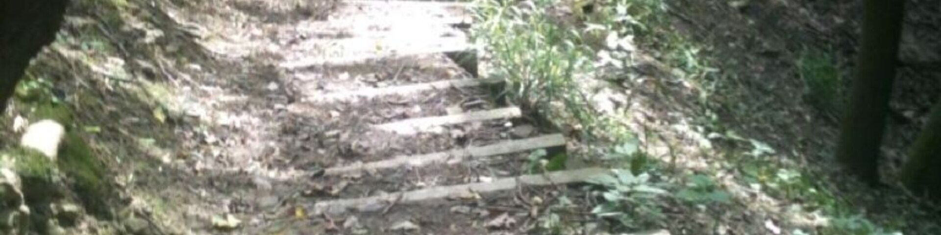 Nice of them to put steps in ;)