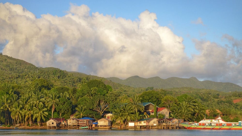 A coastal village with houses on stilts, palm trees, and mountains in the background.