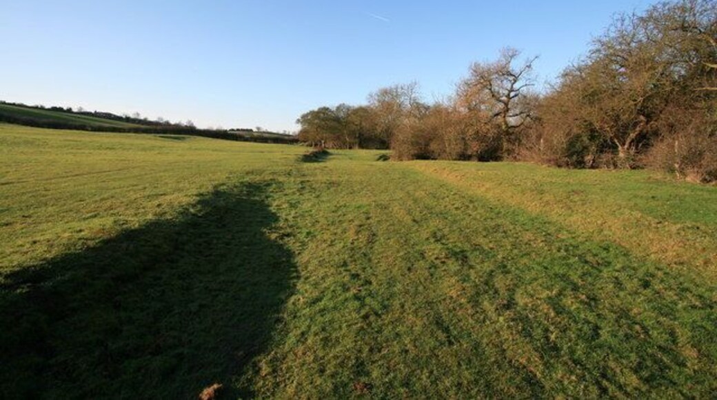 Lambley old road Running parallel to Lambley Dumble this old road would have been hedged on either side. The trackway is clearly visible on Richard Bankes' crown survey "Sherwood Forest In 1609"