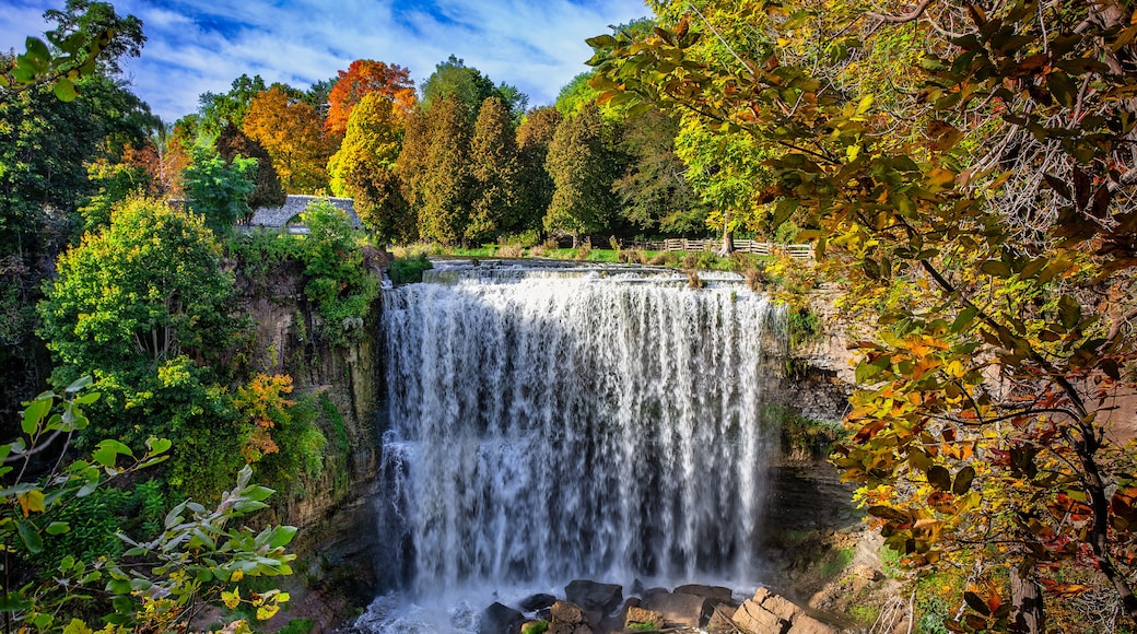 A waterfall surrounded by autumn foliage.