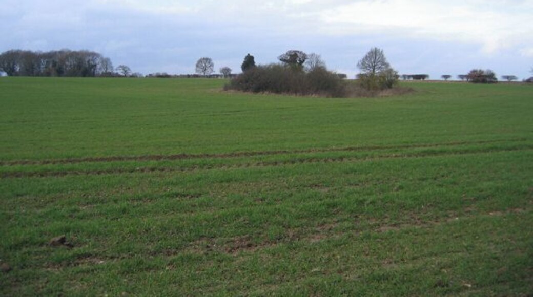 Wooded former marlpit in farmland, Helhoughton, Norfolk.