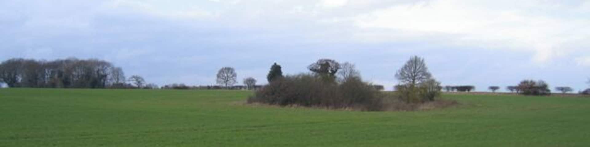 Wooded former marlpit in farmland, Helhoughton, Norfolk.