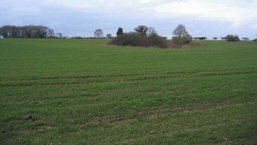 Wooded former marlpit in farmland, Helhoughton, Norfolk.