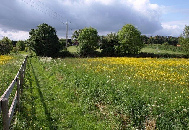 Path to Churcham. Looking in the reverse direction along the path shown in 1315930, with meadows on either side.