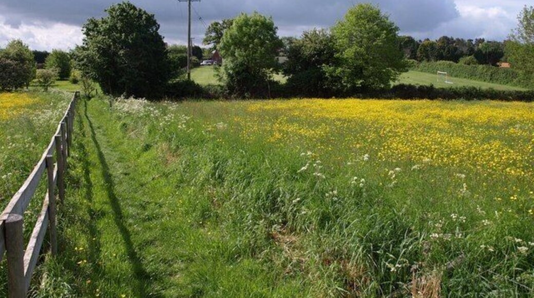 Path to Churcham. Looking in the reverse direction along the path shown in 1315930, with meadows on either side.