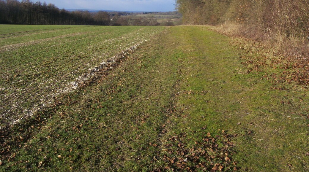 Permissive Footpath Permissive Footpath by Mongewell Wood heading to the Ridgeway