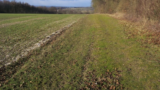 Permissive Footpath Permissive Footpath by Mongewell Wood heading to the Ridgeway