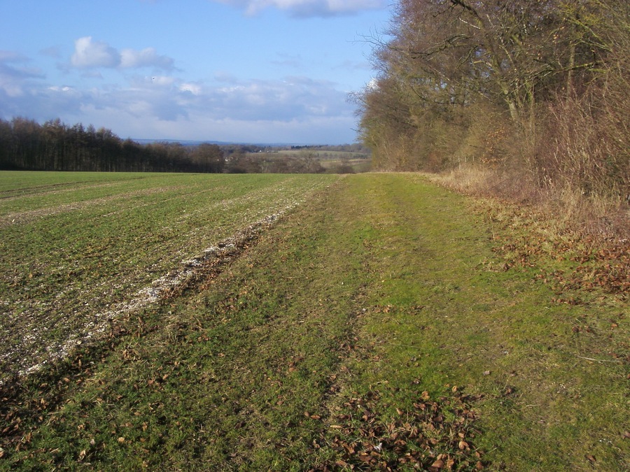 Permissive Footpath Permissive Footpath by Mongewell Wood heading to the Ridgeway