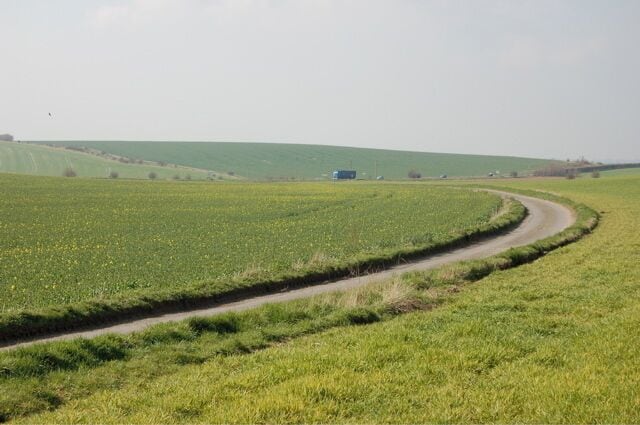 Farmland on lower slopes of The Chilterns Field of rapeseed just beginning to flower on left side of Bottom Lane which leads to the Oxford to Reading road (A4074).