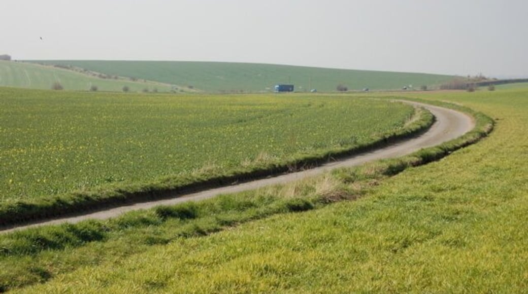 Farmland on lower slopes of The Chilterns Field of rapeseed just beginning to flower on left side of Bottom Lane which leads to the Oxford to Reading road (A4074).