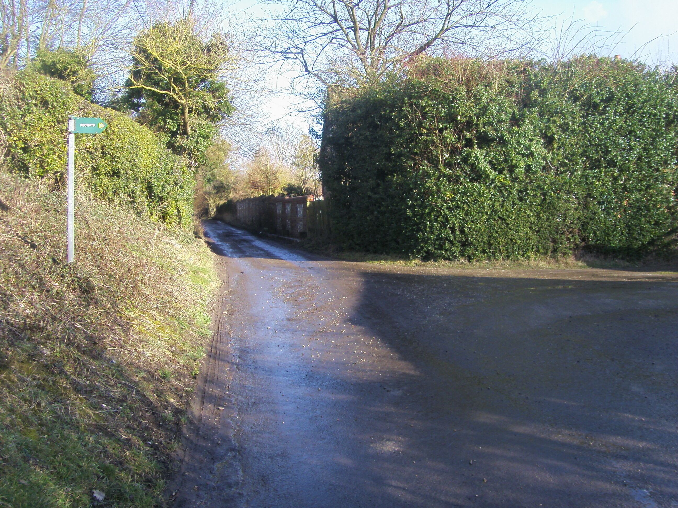 Urquhart Lane Urquhart Lane leading up to Handsmooth Farm