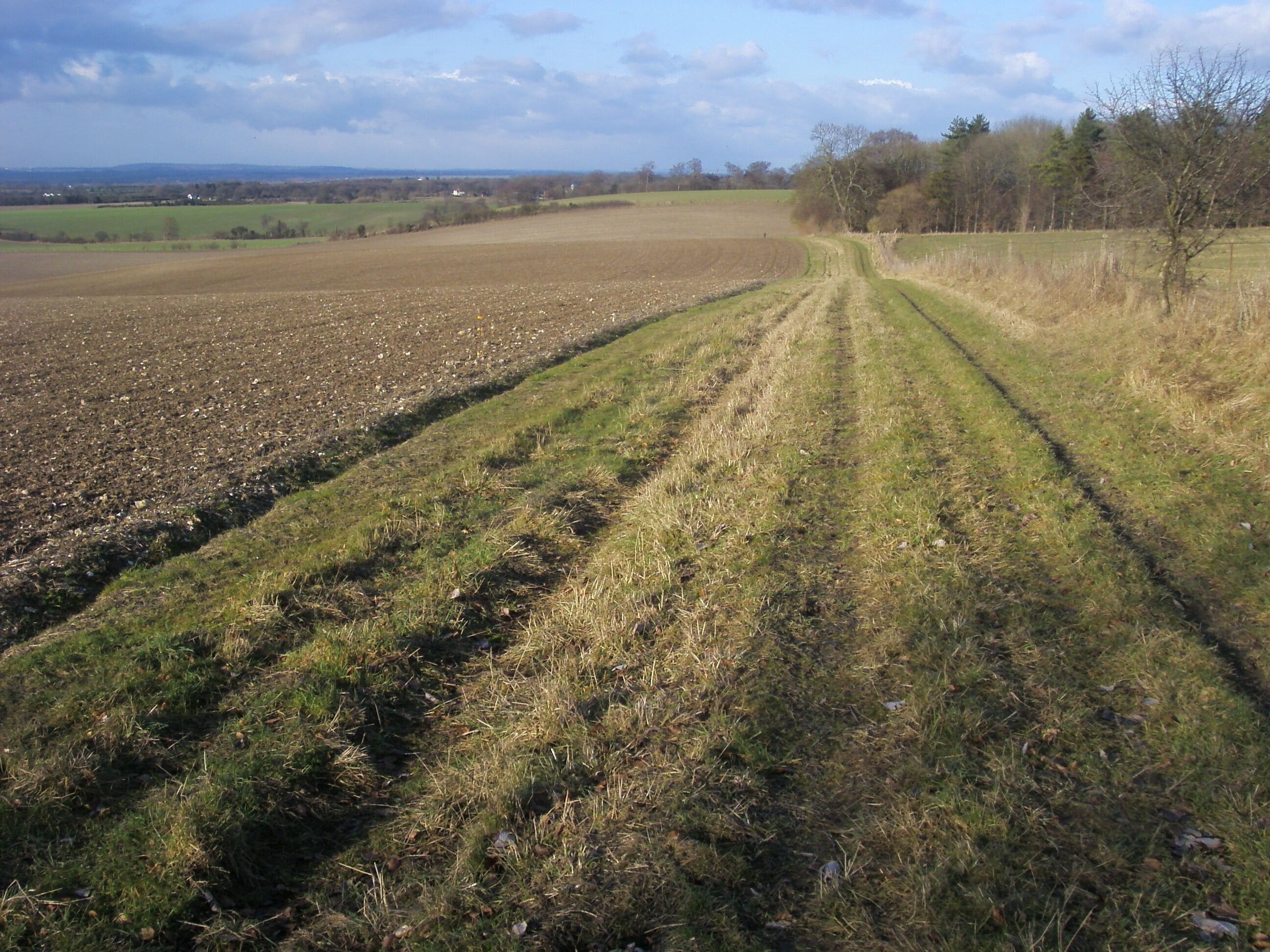 Permissive Footpath Permissive footpath heading to Western edge of Mongewell Woods