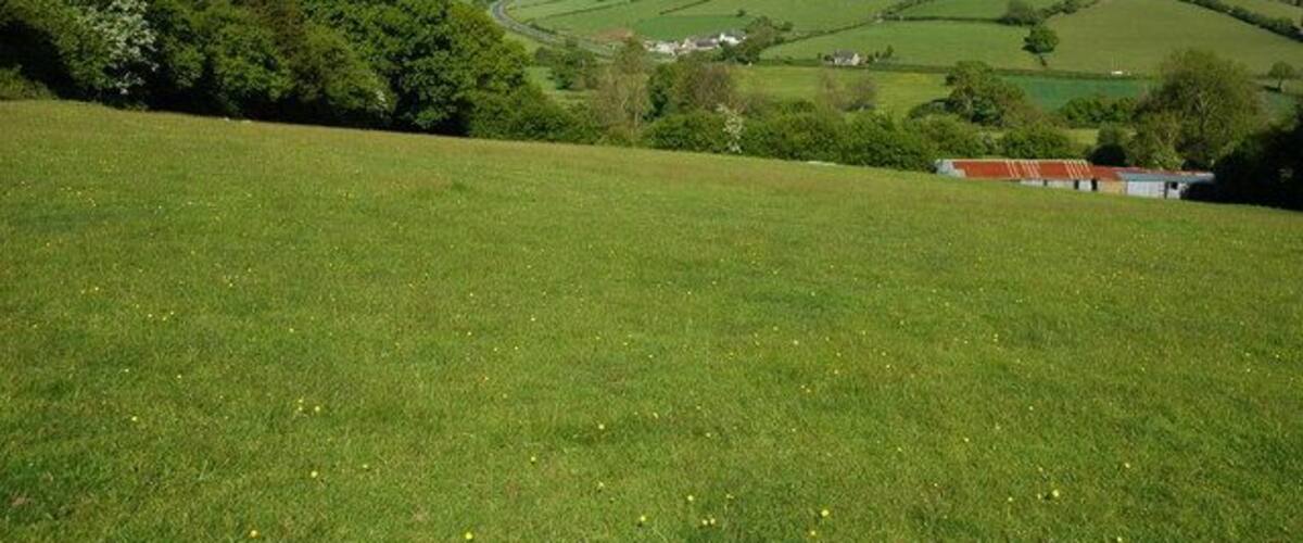 A green field with a small building, rolling hills, and a distant village.