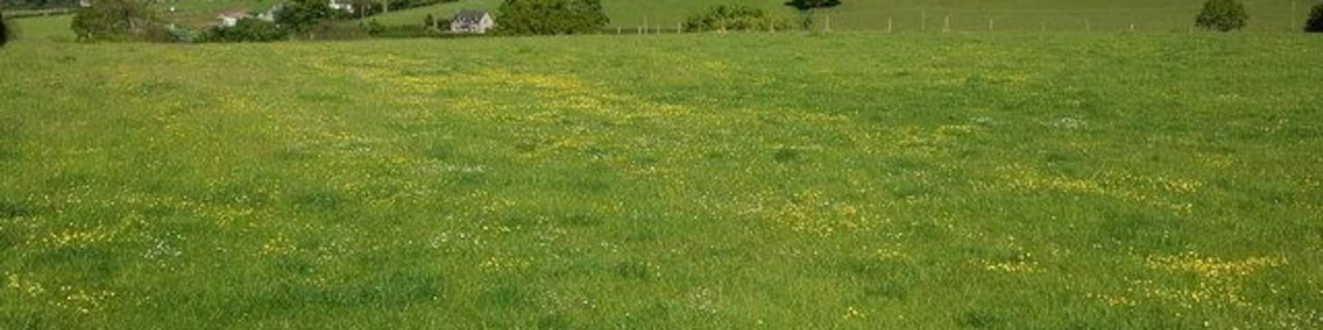 View to the east from Bwlch The wooded hill on the right is Myarth, on the horizon is the 701m Pen Cerrig-calch on the western side of the Black Mountains range.