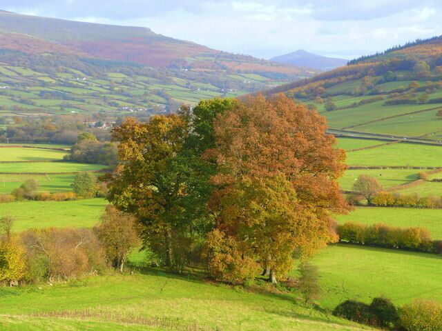 View east from Bwlch 1 In the distance, beyond the autumnal trees, is The Sugarloaf.