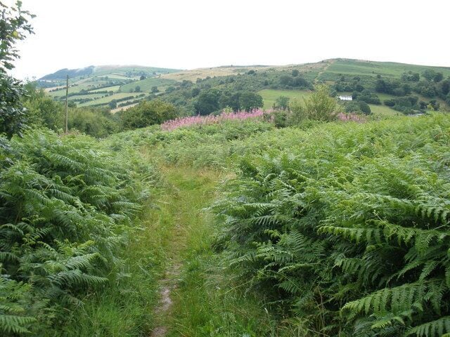 Path, down to Bwlch