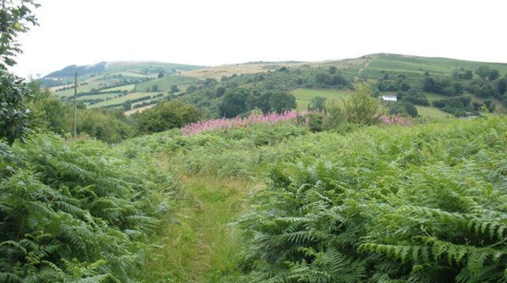 Path, down to Bwlch