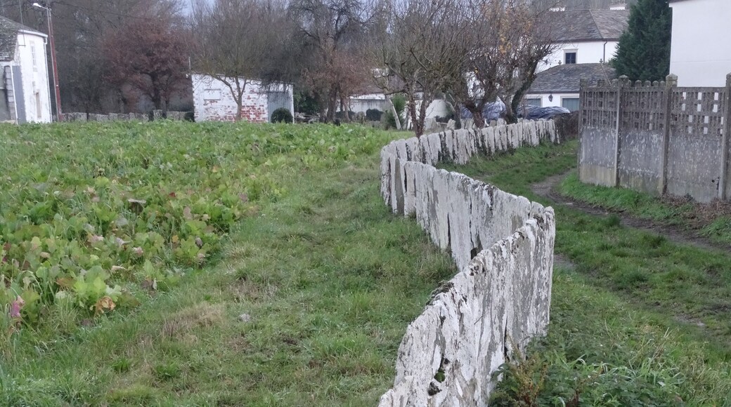 Valado a carón da igrexa de Damil, Begonte.