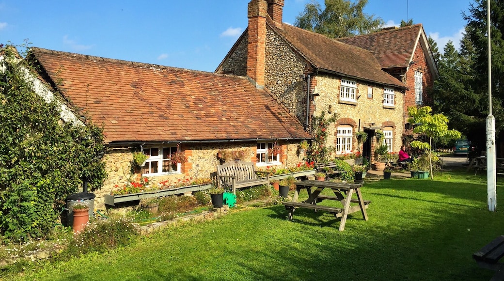 One of the oddest pubs I've ever been to. Live animals inside and a bar cluttered with household items and belongings. Independently owned so no on tap beer and you may worry about the cleanliness! At the mid-point of several local footpaths it's a welcome stop and I definitely recommend a visit.