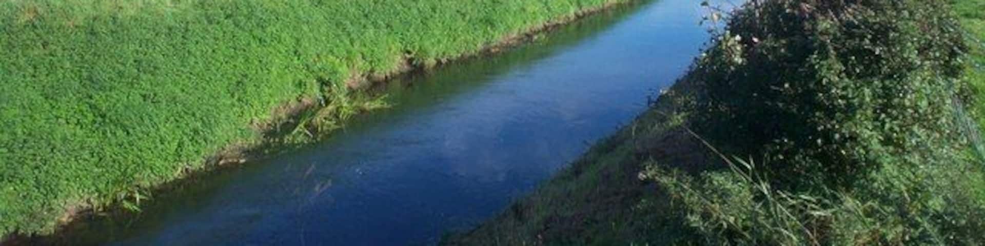 River Ryton River Ryton seen from Mill Lane, just north of the village of Scrooby.