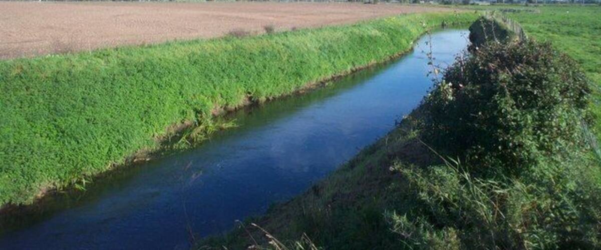 A narrow water channel with grassy banks, a flat agricultural field, and a clear sky.