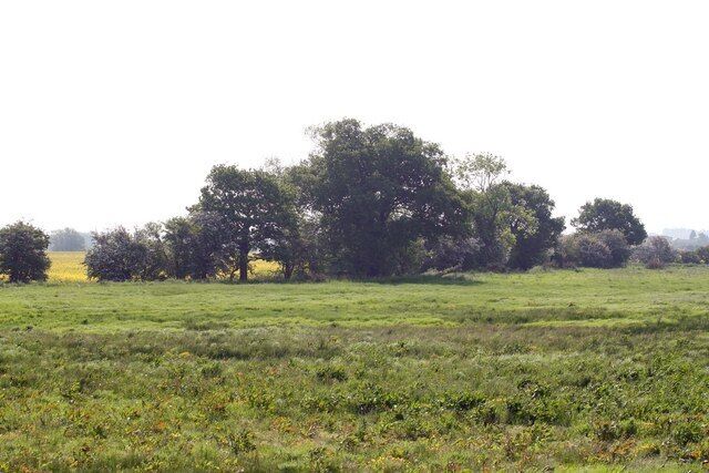 Countryside near Scrooby
