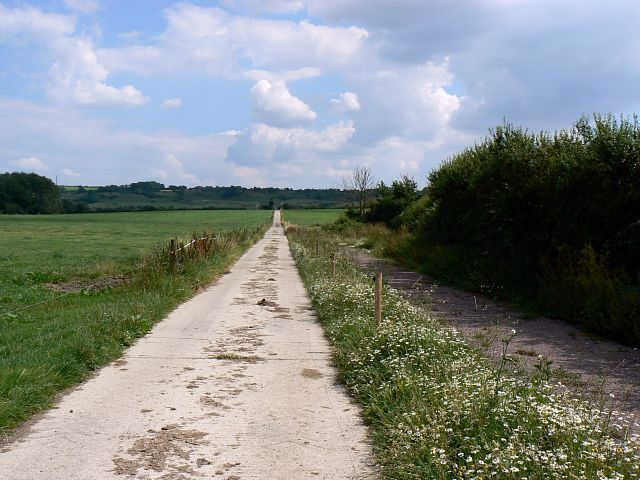 Track to Woodhill Park, near Bushton The concrete track leads to Woodhill Park past Mill Mead Wood on the left and the site of a medieval village called Woodhill.