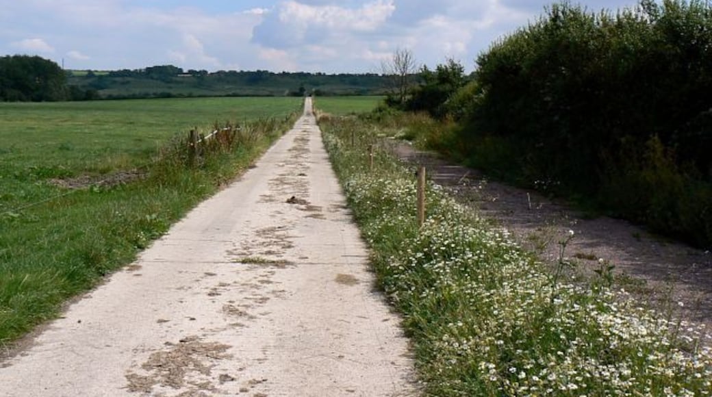 Track to Woodhill Park, near Bushton The concrete track leads to Woodhill Park past Mill Mead Wood on the left and the site of a medieval village called Woodhill.