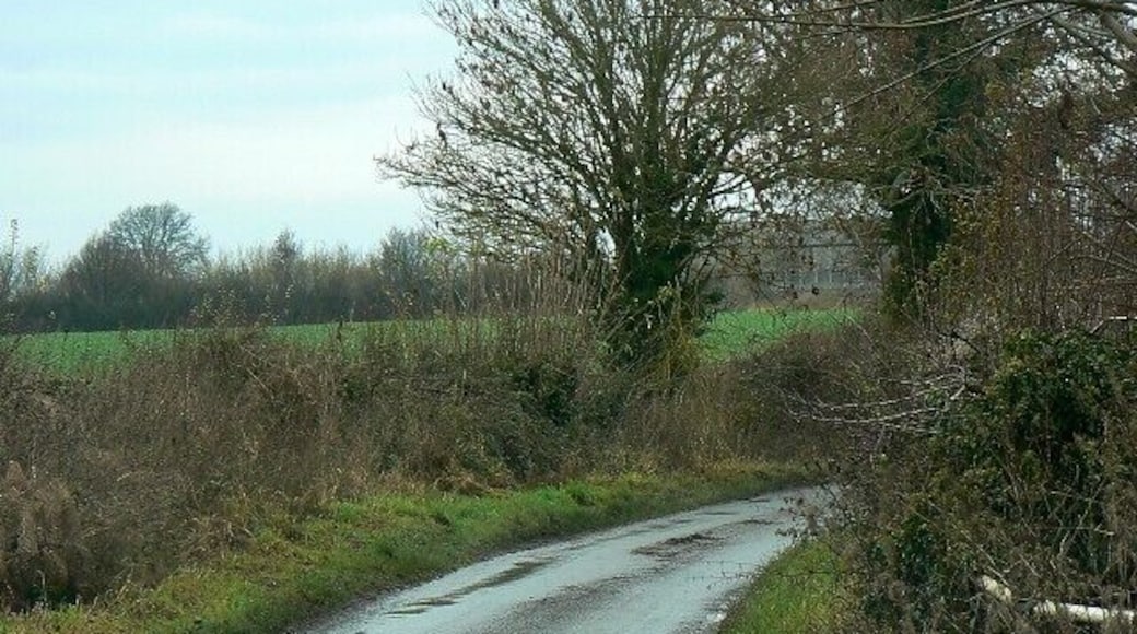 Wood Street, Clyffe Pypard The street is really a country lane. It's been raining.