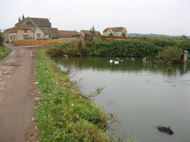 Manor Farm, Cowhill The duckpond at Manor Farm has a variety of different ducks and geese.