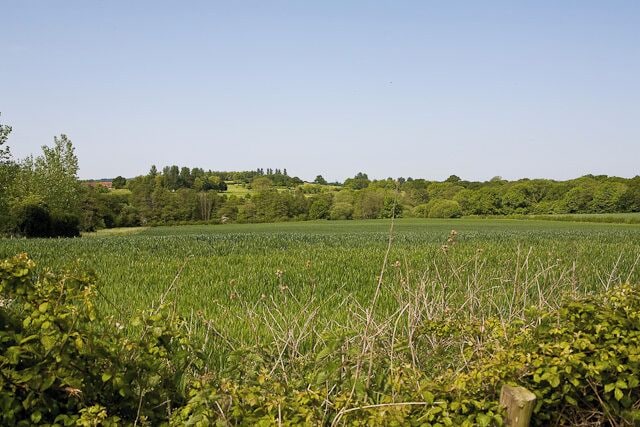 Land on Hill Farm Seen from footpath. In the distance is Botley Park hotel and country club with its golf course.