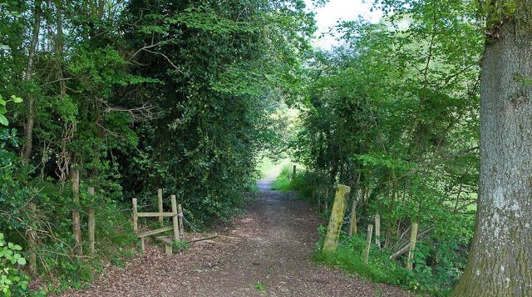Footpath cutting through Blundell's Copse