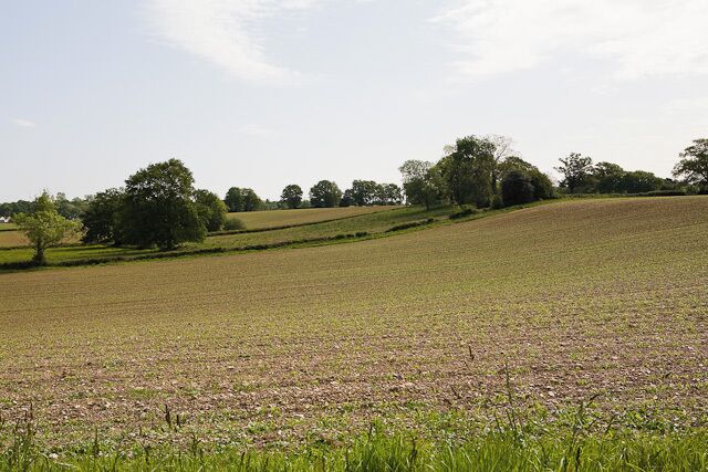 Rolling farmland on Hill Farm Seen from footpath.