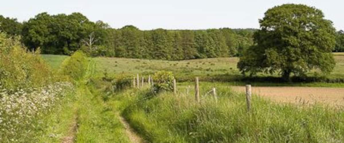 Footpath approaching Blundell's Copse. The woodland to the right of the track is not shown on OS maps. Land to the left of this track was designated in 2009 to have 6,000 houses built on it, see 1329022.