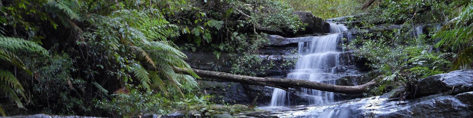 Walk down the dirt road until you see the split in the road with a sign. Head towards the falls loop by going down a pathway. Along this walk you'll come across many waterfalls and swimming pools. It's magic.