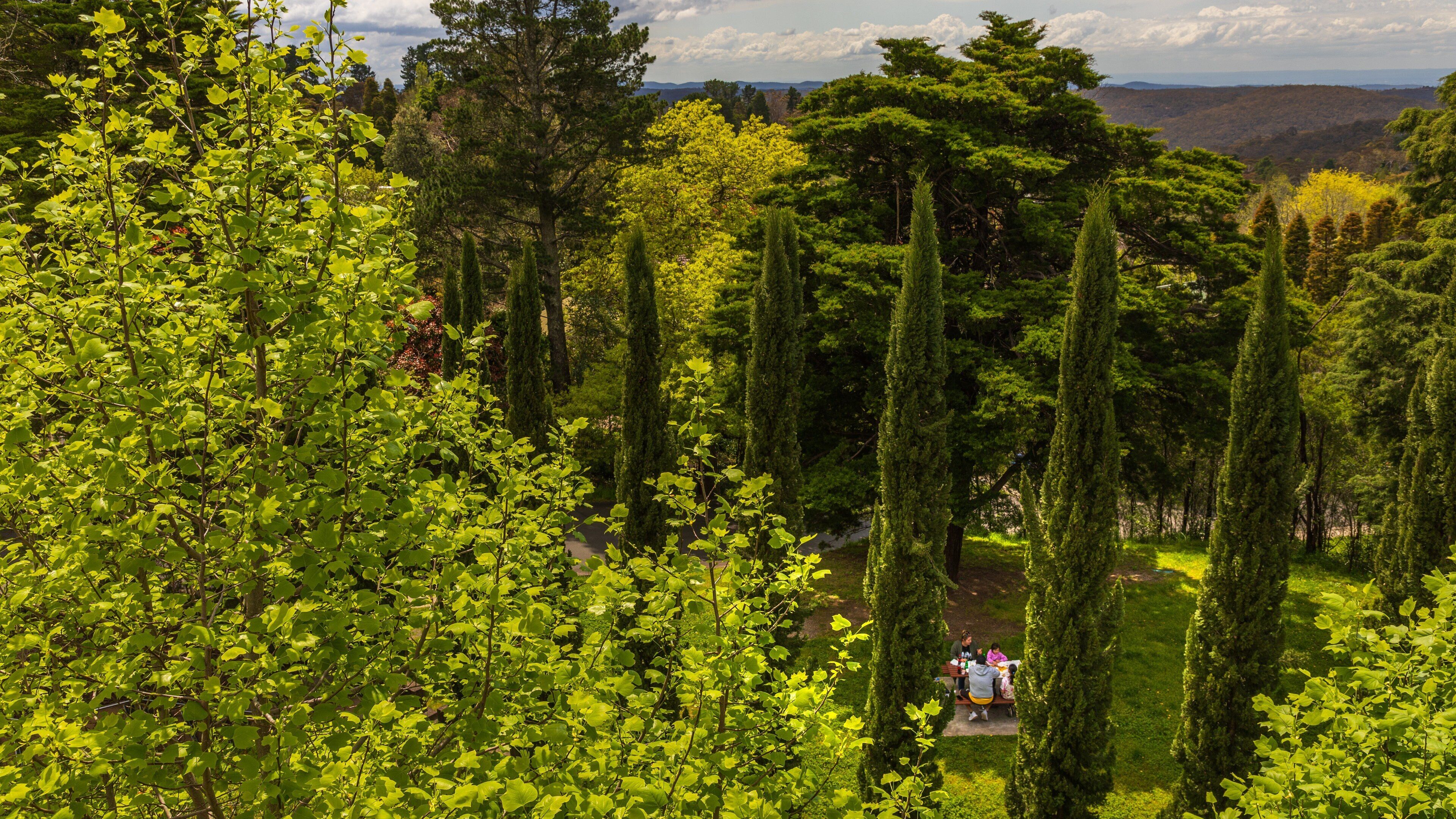 Hazelbrook which includes a park and landscape views