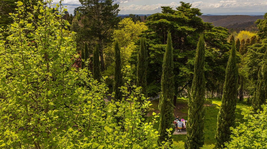 Hazelbrook which includes a park and landscape views