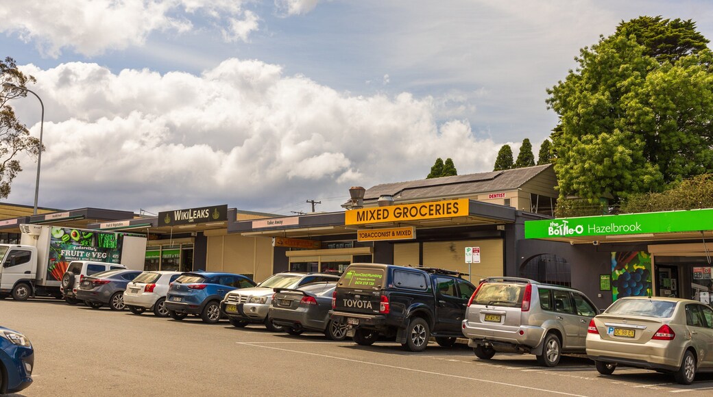 Hazelbrook which includes a small town or village